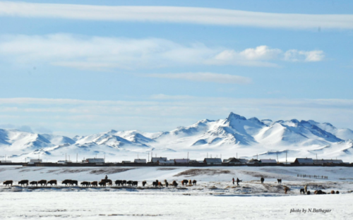 Өнгөрсөн шөнө Тэс суманд 46.2 хэм хүйтэн хоножээ